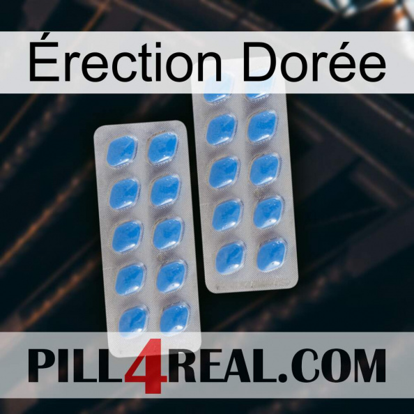 Érection Dorée 23